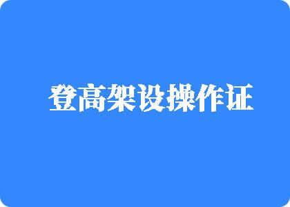 看看日逼登高架设操作证